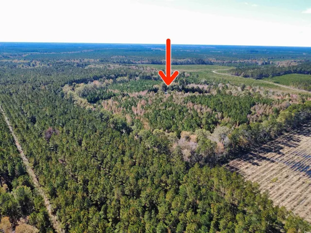 $370,000 | 3264 10 Acre Road, Andrews, SC 29510