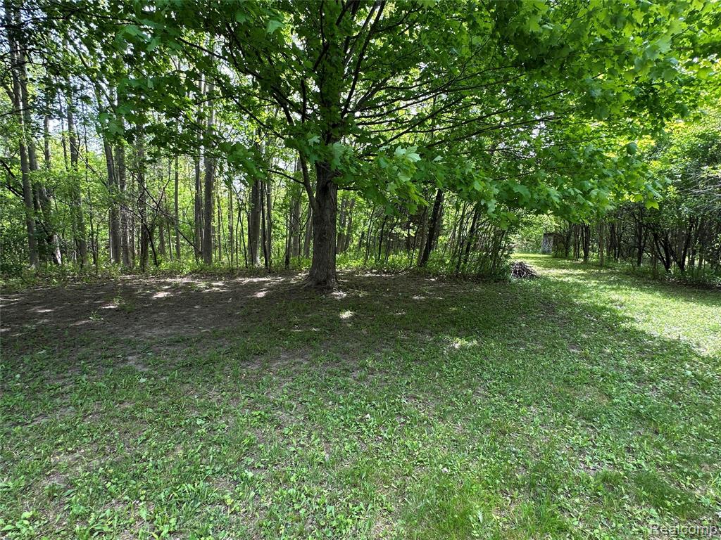 6161 East River Road Flushing, MI 48433 - Photo 62 of 63