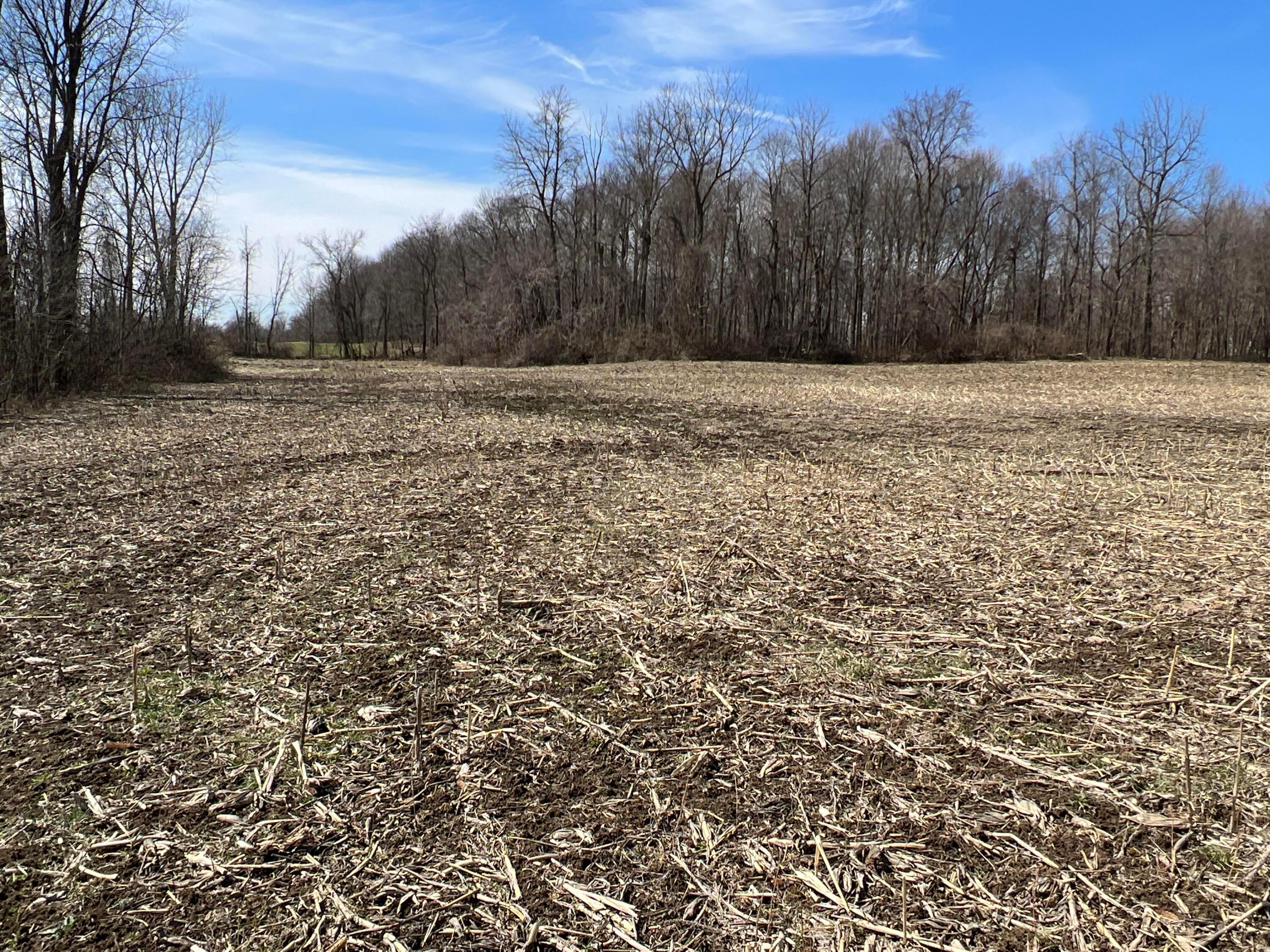 7 New Delaware Road Mount Vernon, OH 43050 - Photo 2 of 13 IMG_7606
