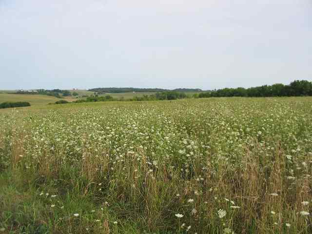 D-6 Townline Road Mt Carroll, IL 61053 - Photo 3 of 5 Gallery Image 3