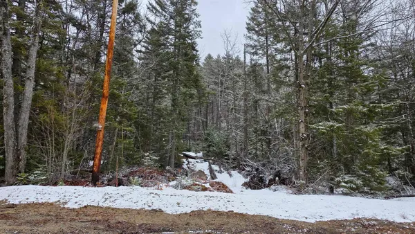 $99,900 | M10-l50 Ashuelot Drive, Washington, NH 03280