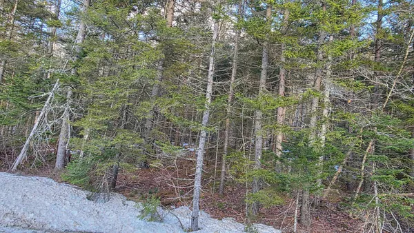 $99,900 | M10-l50 Ashuelot Drive, Washington, NH 03280