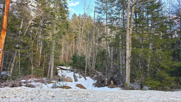 $99,900 | M10-l50 Ashuelot Drive, Washington, NH 03280