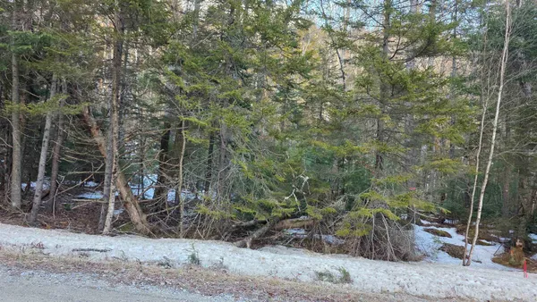 $99,900 | M10-l50 Ashuelot Drive, Washington, NH 03280