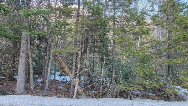 $99,900 | M10-l50 Ashuelot Drive, Washington, NH 03280