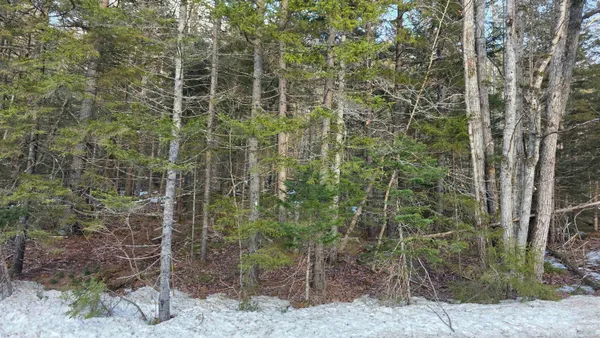 $99,900 | M10-l50 Ashuelot Drive, Washington, NH 03280