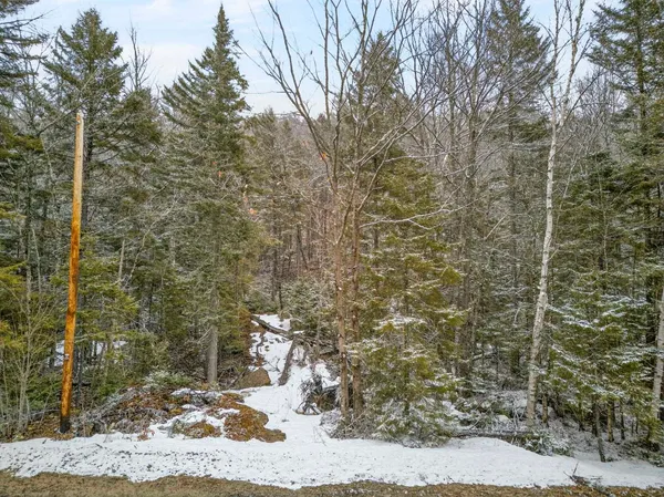 $99,900 | M10-l50 Ashuelot Drive, Washington, NH 03280