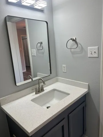 a bathroom with a sink and a mirror