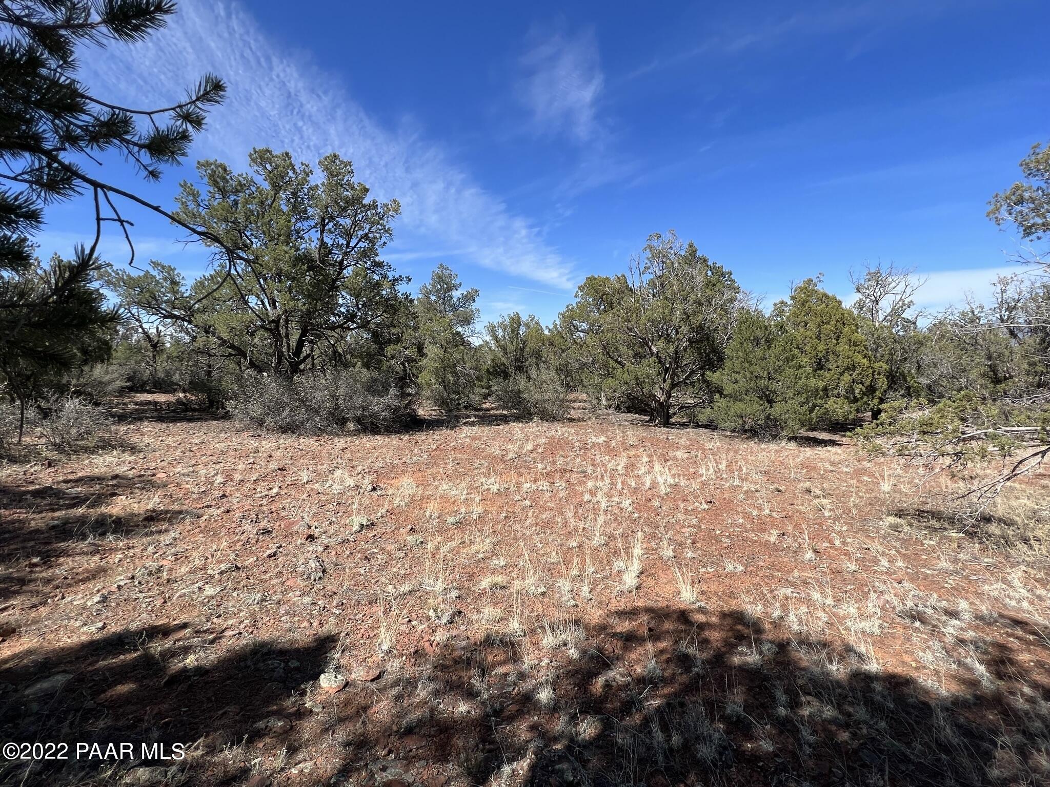 31 Rattlesnake Road Ash Fork, AZ 86320 - Photo 12 of 27 IMG_0684