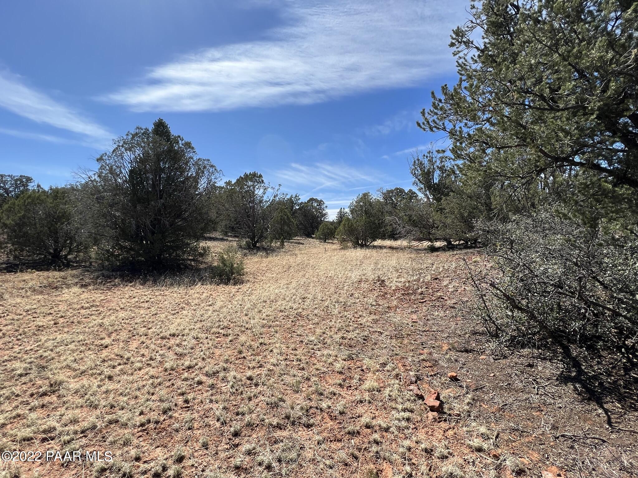 31 Rattlesnake Road Ash Fork, AZ 86320 - Photo 13 of 27 IMG_0685