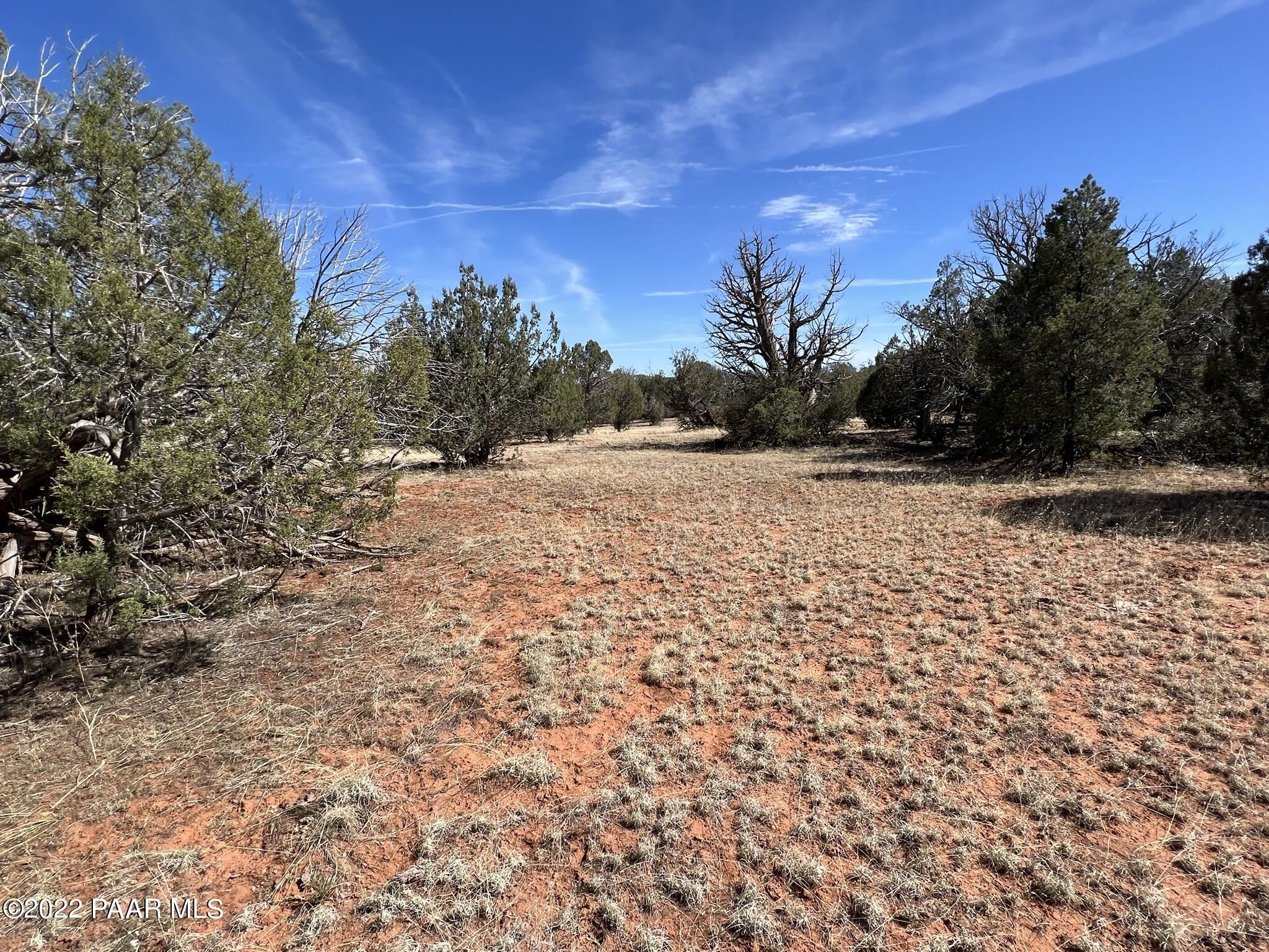 31 Rattlesnake Road Ash Fork, AZ 86320 - Photo 14 of 27 IMG_0686