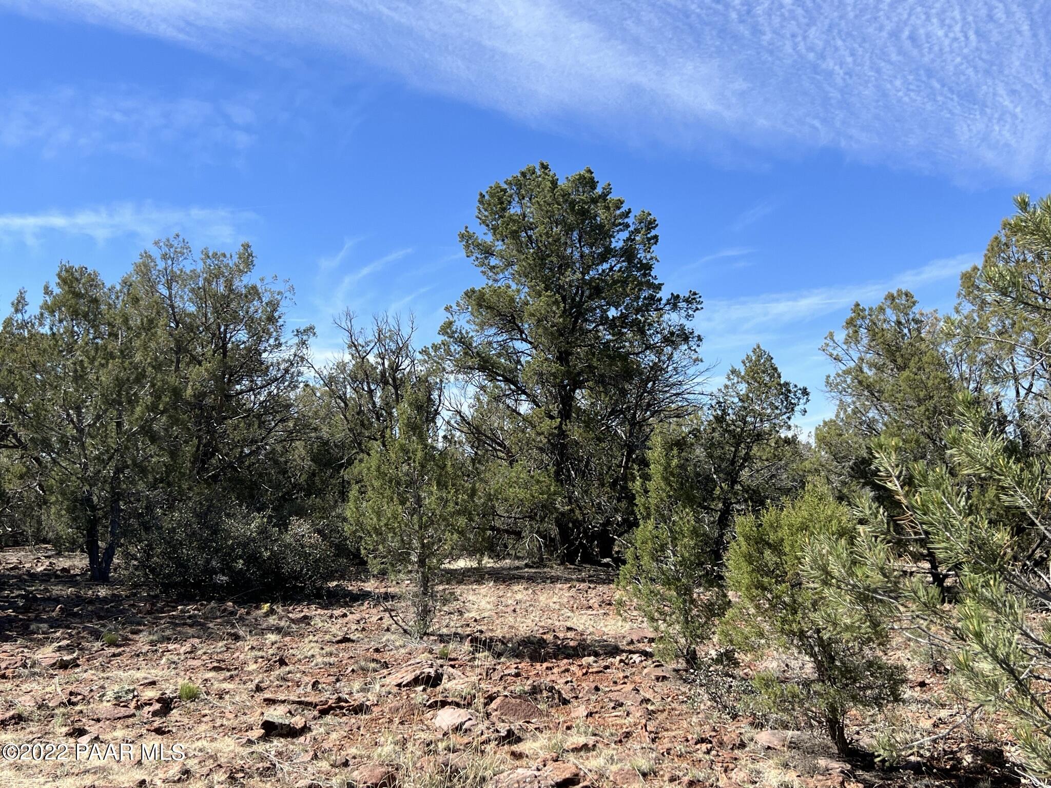 31 Rattlesnake Road Ash Fork, AZ 86320 - Photo 16 of 27 IMG_0688