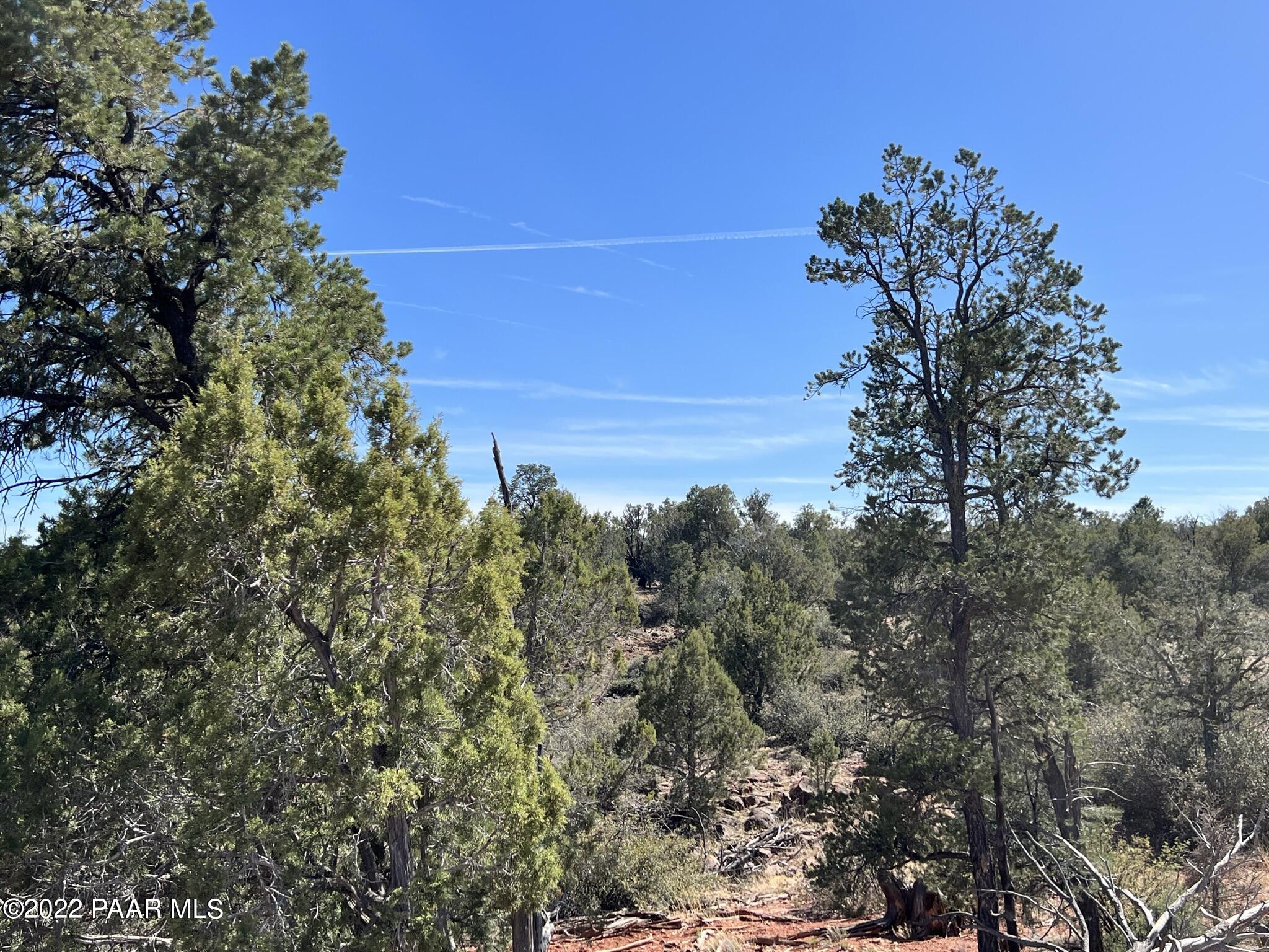 31 Rattlesnake Road Ash Fork, AZ 86320 - Photo 17 of 27 IMG_0689