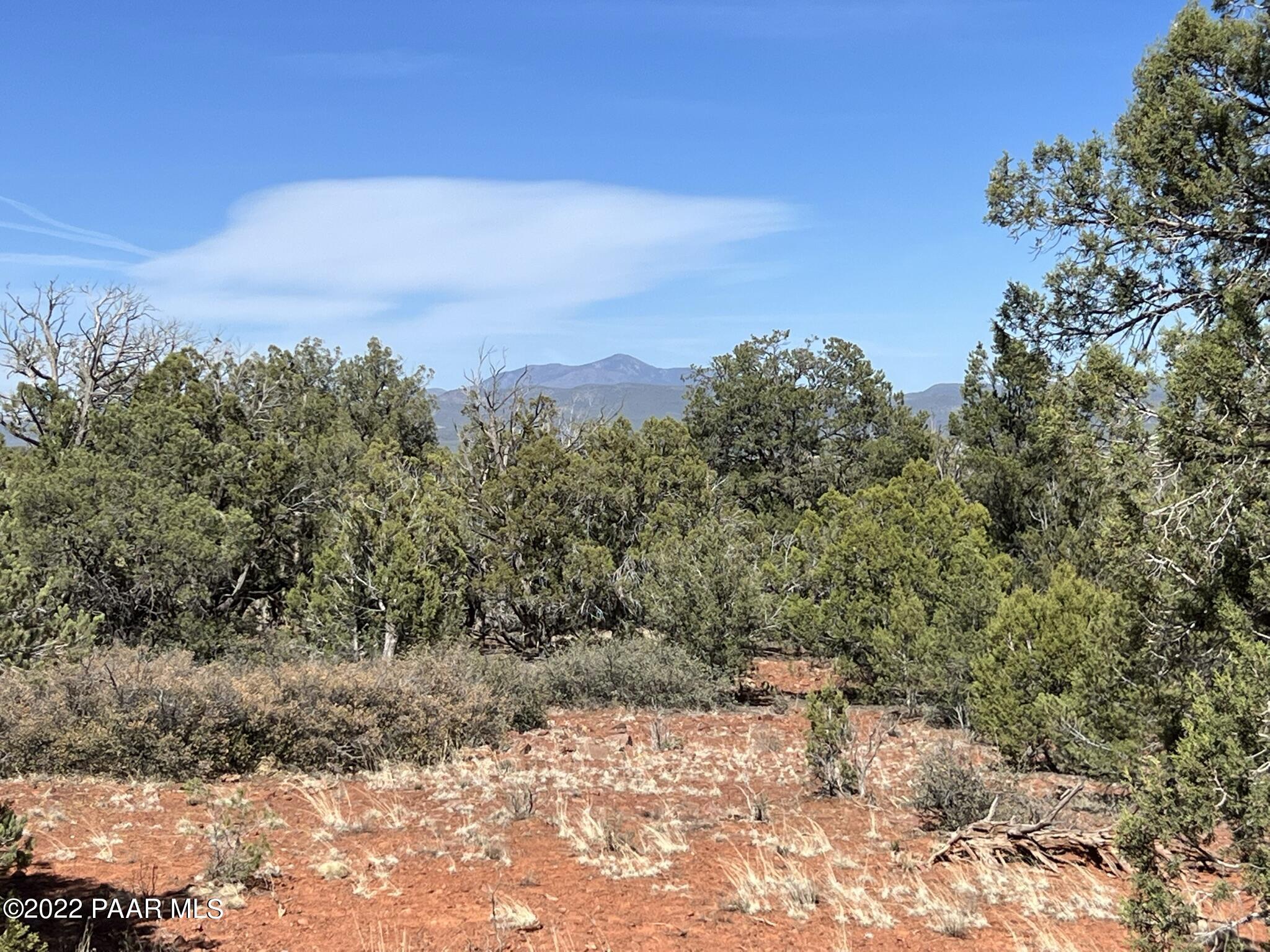 31 Rattlesnake Road Ash Fork, AZ 86320 - Photo 18 of 27 IMG_0690