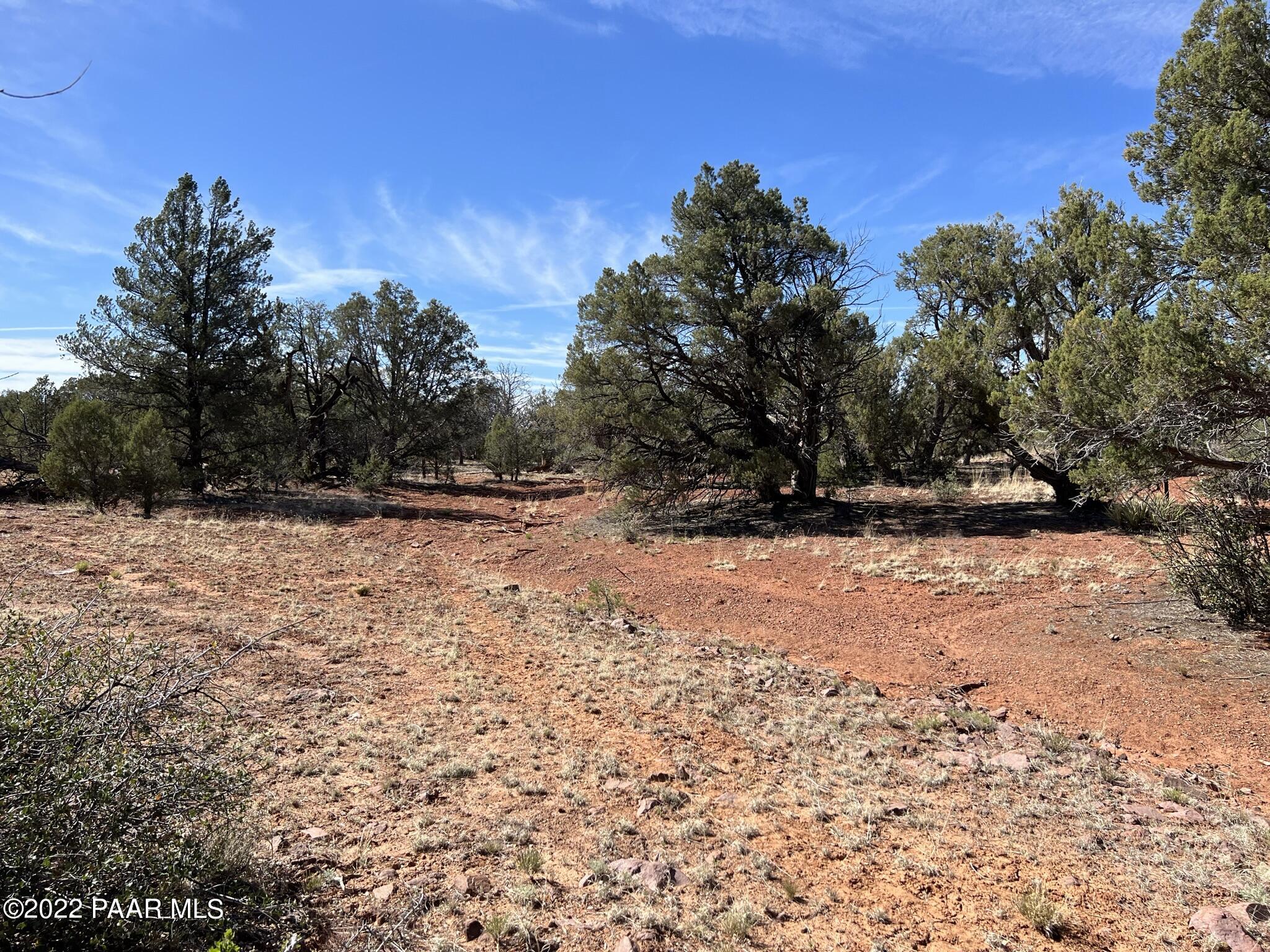 31 Rattlesnake Road Ash Fork, AZ 86320 - Photo 19 of 27 IMG_0691