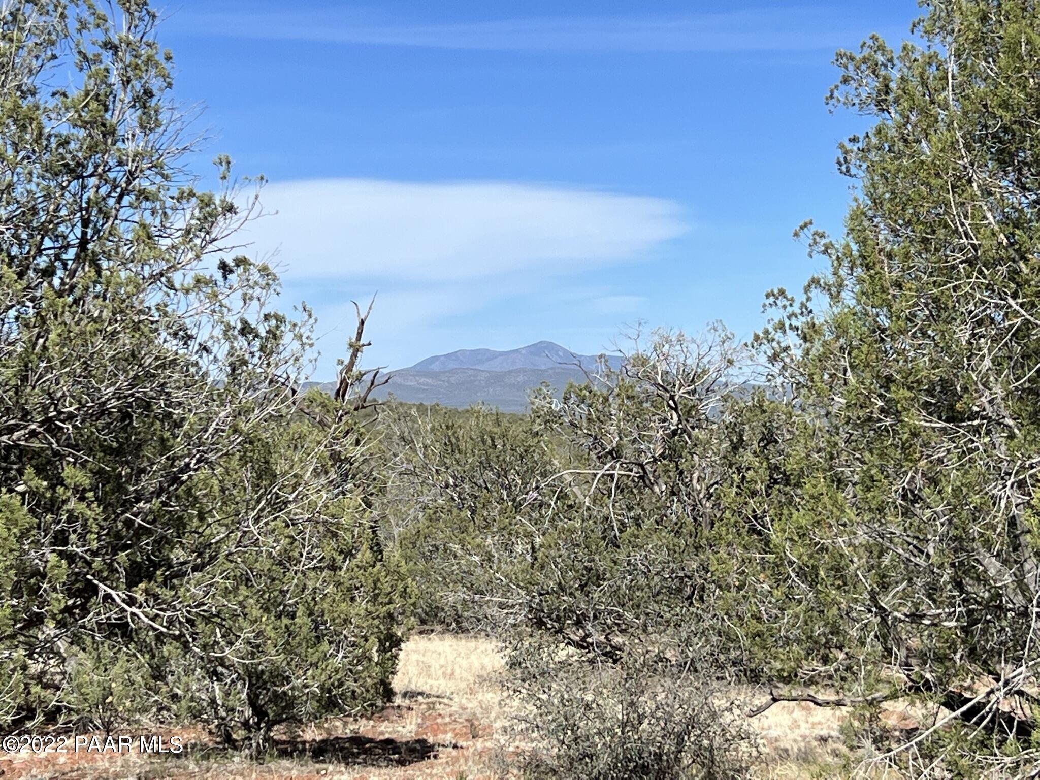 31 Rattlesnake Road Ash Fork, AZ 86320 - Photo 21 of 27 IMG_0693