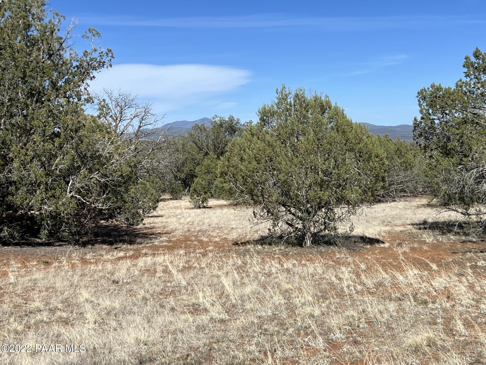 31 Rattlesnake Road Ash Fork, AZ 86320 - Photo 22 of 27 IMG_0694