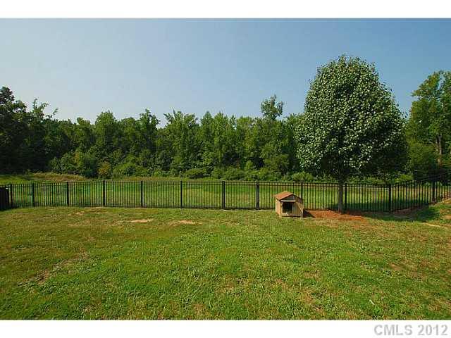 3792 Leela Palace Way Fort Mill, SC 29708 - Photo 16 of 16