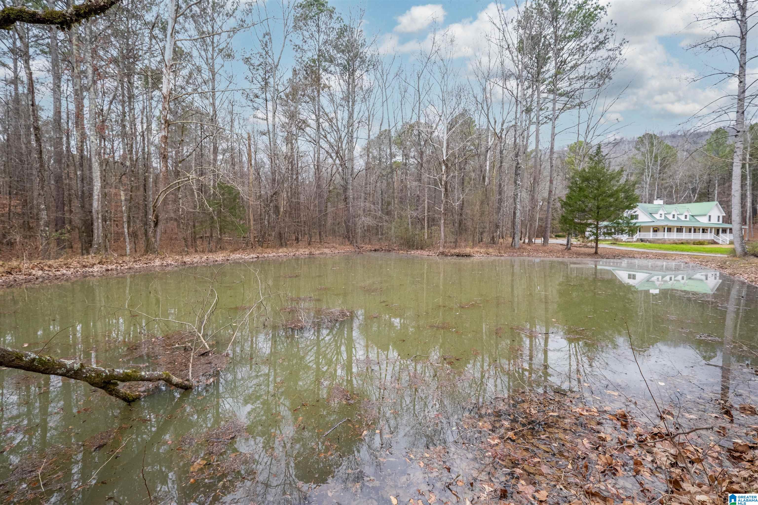 140 Aubra Road Steele, AL 35987 - Photo 36 of 42