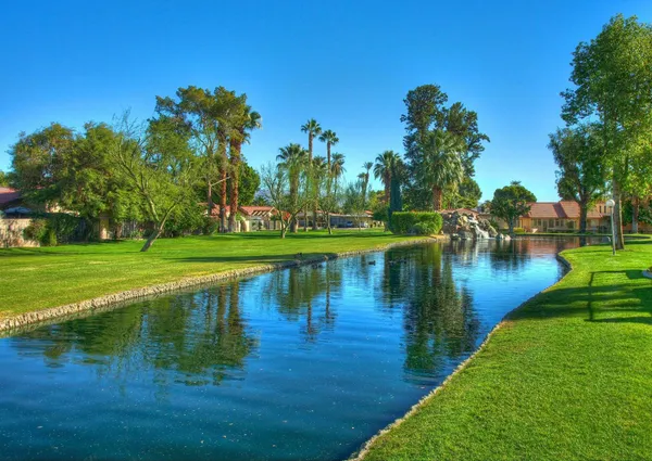 a view of a lake with a yard and large trees