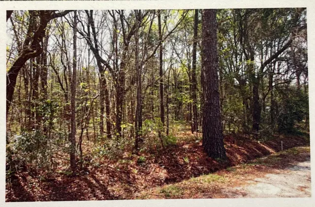 $2,999,999 | 1690 Highway 41, Mount Pleasant, SC 29466