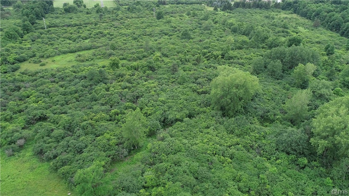 L26.1 Howlett Hill Road Syracuse, NY 13215 - Photo 11 of 12