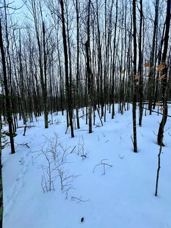 $59,900 | Tbd Baich Drive, Bovey, MN 55709