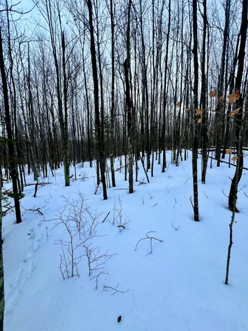 $59,900 | Tbd Baich Drive, Bovey, MN 55709