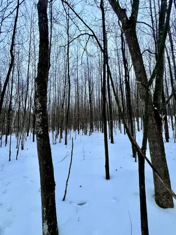 $59,900 | Tbd Baich Drive, Bovey, MN 55709