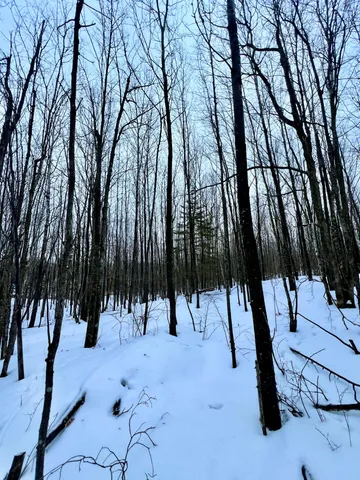 $59,900 | Tbd Baich Drive, Bovey, MN 55709