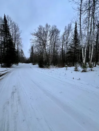 $59,900 | Tbd Baich Drive, Bovey, MN 55709