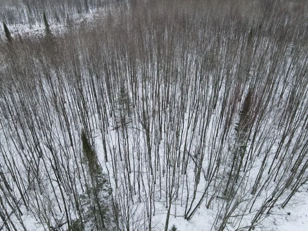 $59,900 | Tbd Baich Drive, Bovey, MN 55709