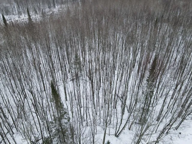 $59,900 | Tbd Baich Drive, Bovey, MN 55709