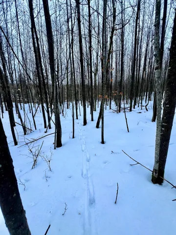 $59,900 | Tbd Baich Drive, Bovey, MN 55709