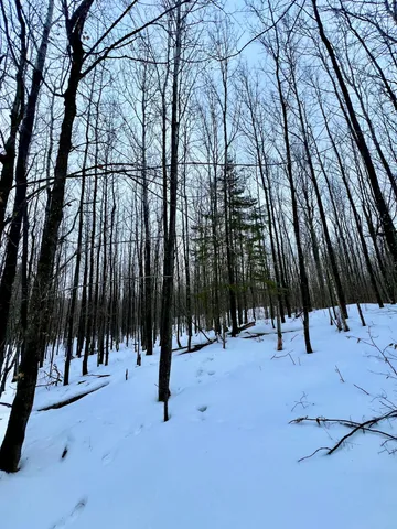 $59,900 | Tbd Baich Drive, Bovey, MN 55709