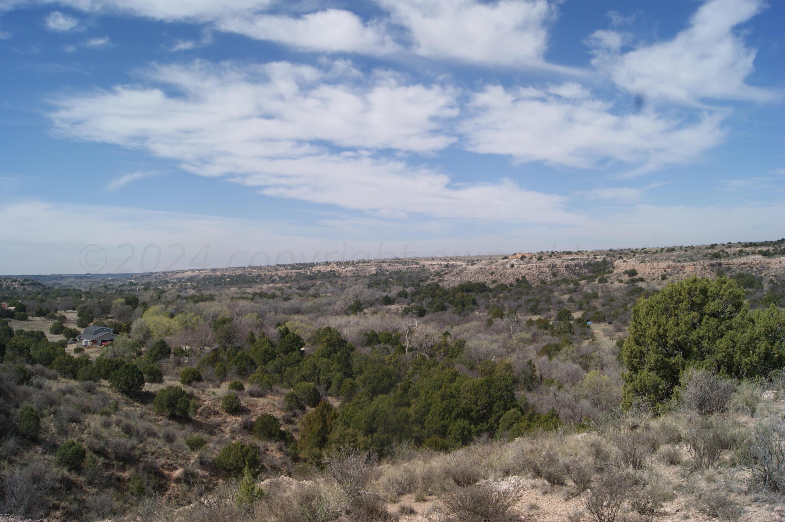 a view of a big yard with lots of trees