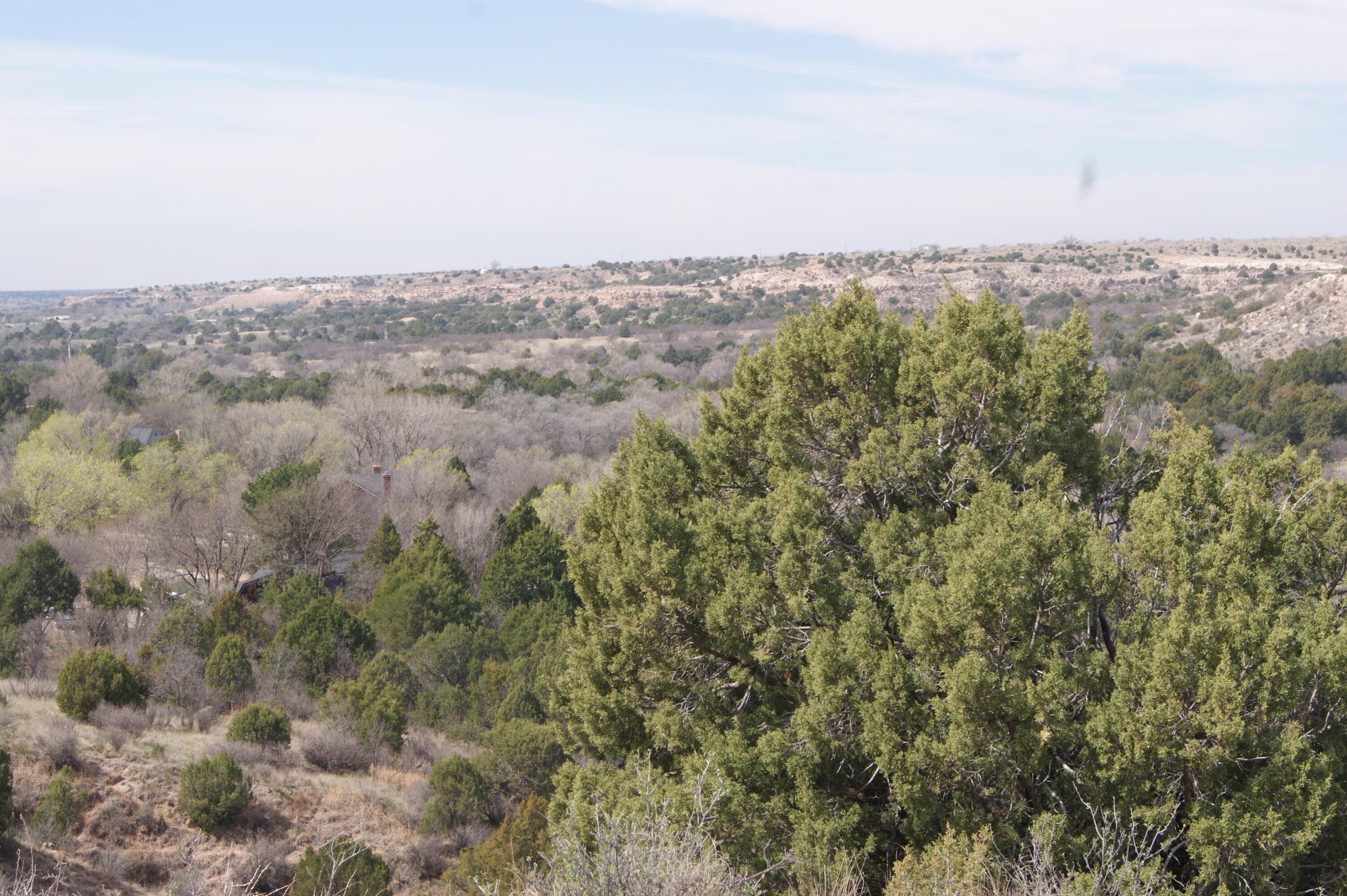 0 Michael Amarillo, TX 79118 - Photo 11 of 12 an aerial view of multiple house