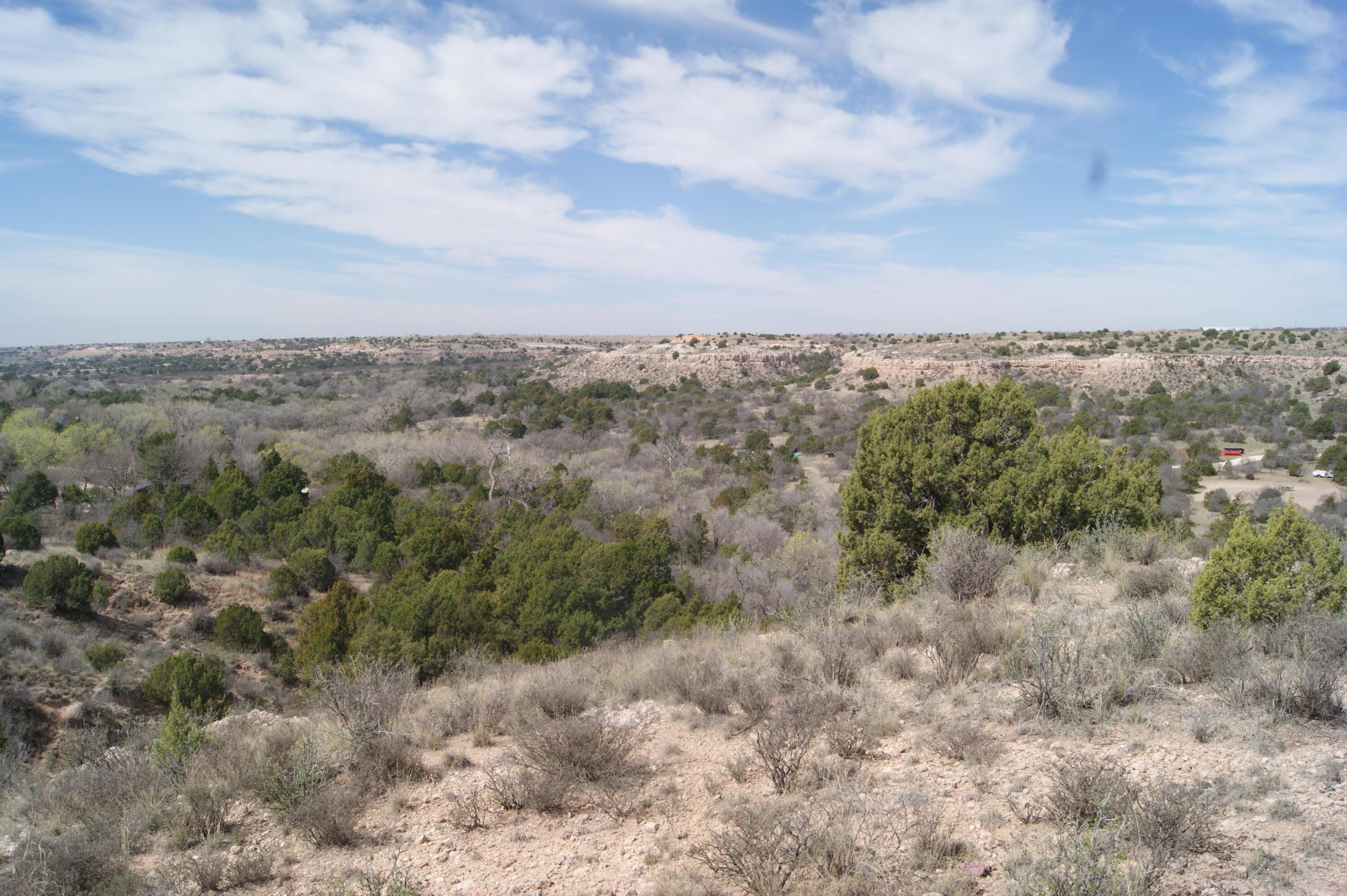 0 Michael Amarillo, TX 79118 - Photo 12 of 12 a view of a dry space with lots of trees