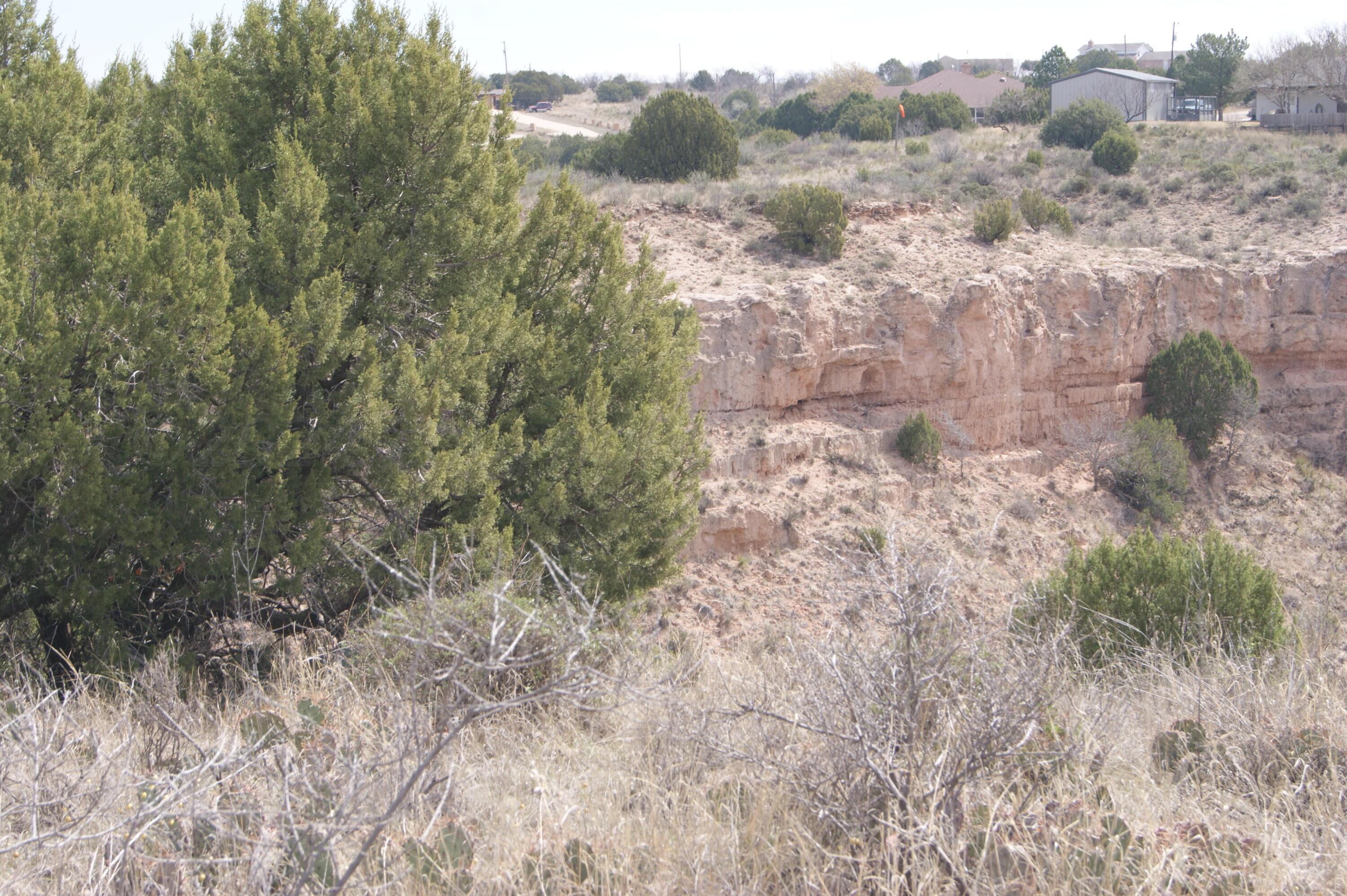 0 Michael Amarillo, TX 79118 - Photo 2 of 12