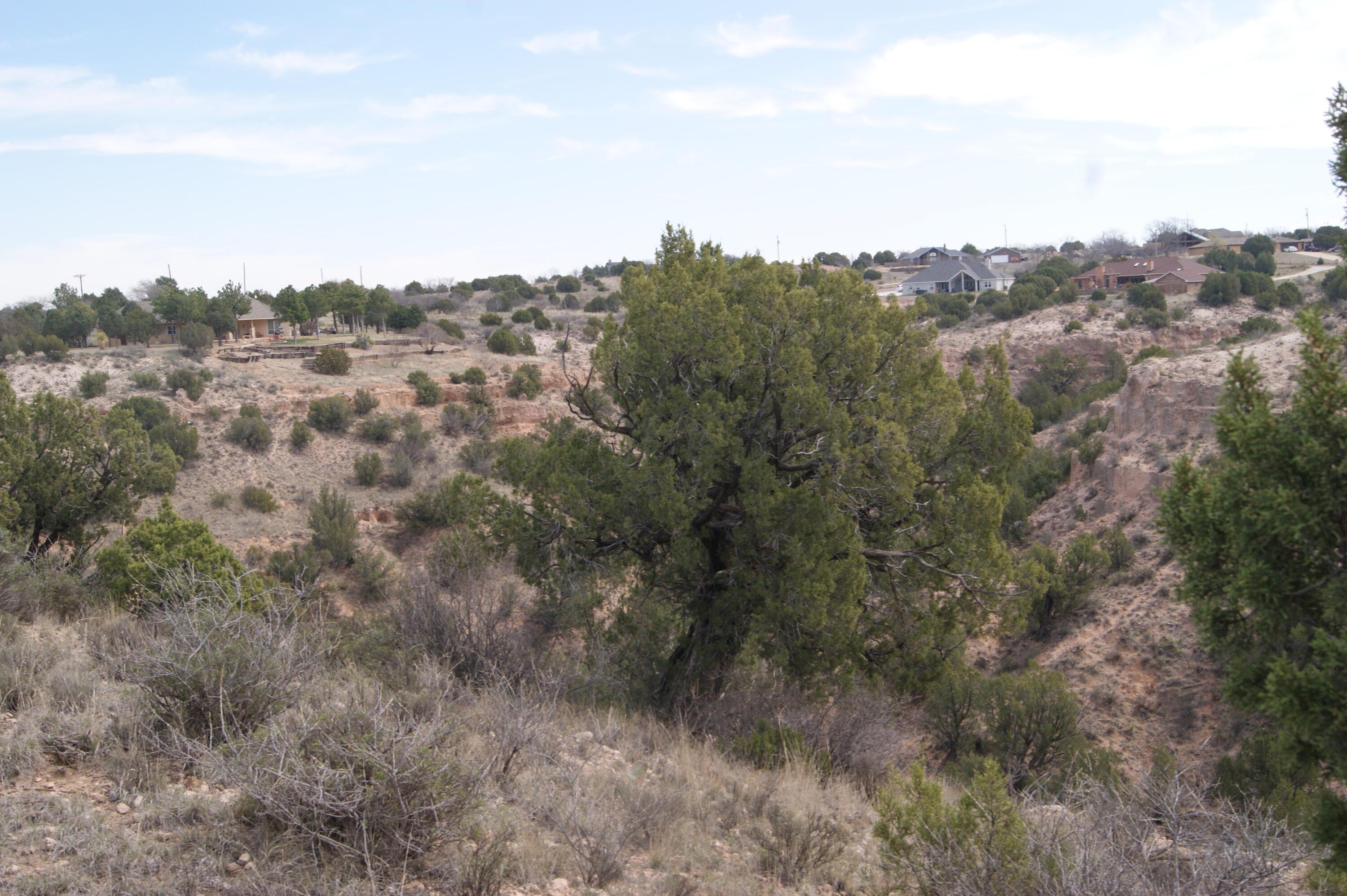 0 Michael Amarillo, TX 79118 - Photo 4 of 12 a view of a city