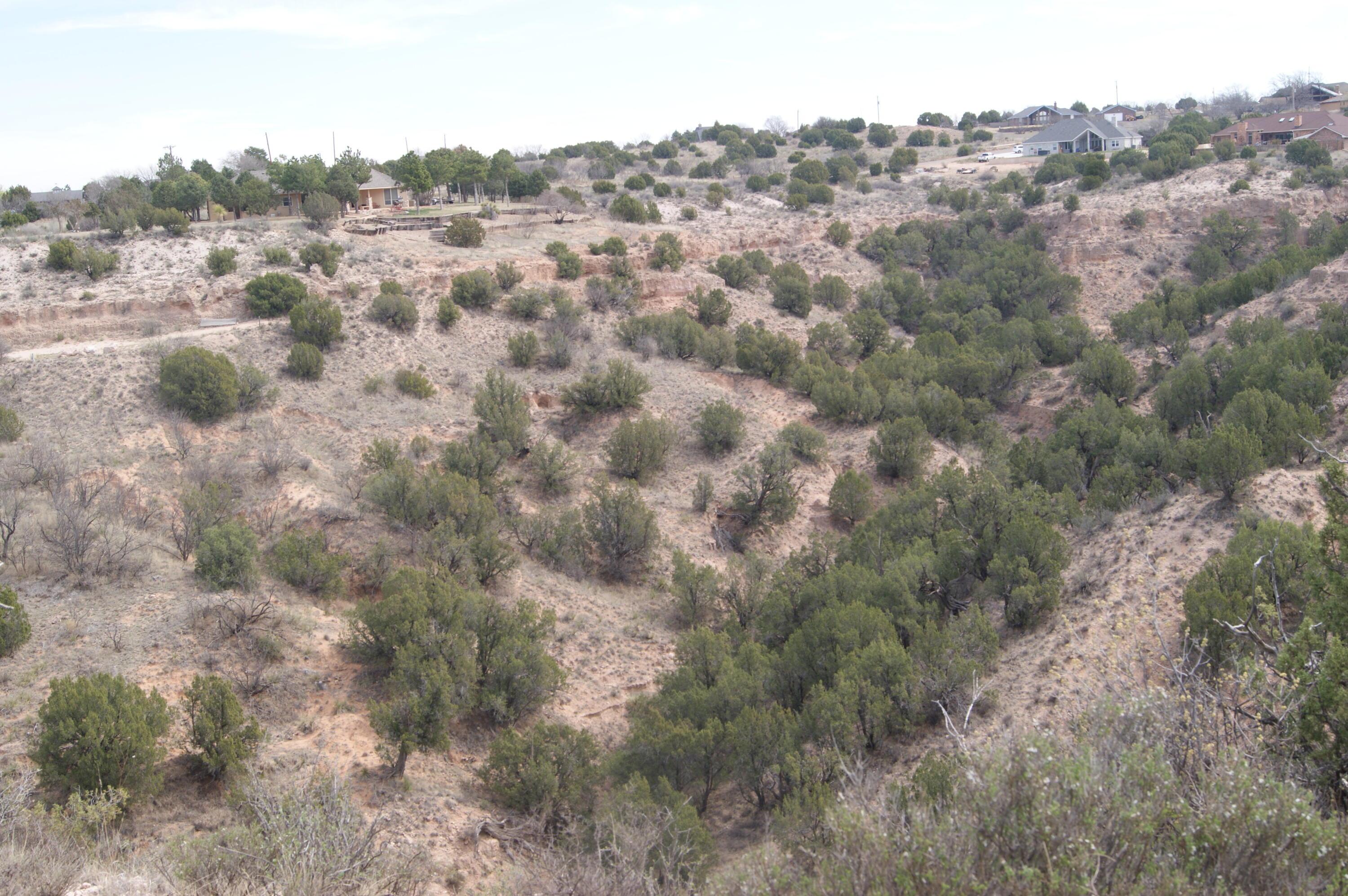 0 Michael Amarillo, TX 79118 - Photo 5 of 12 a view of a dry yard