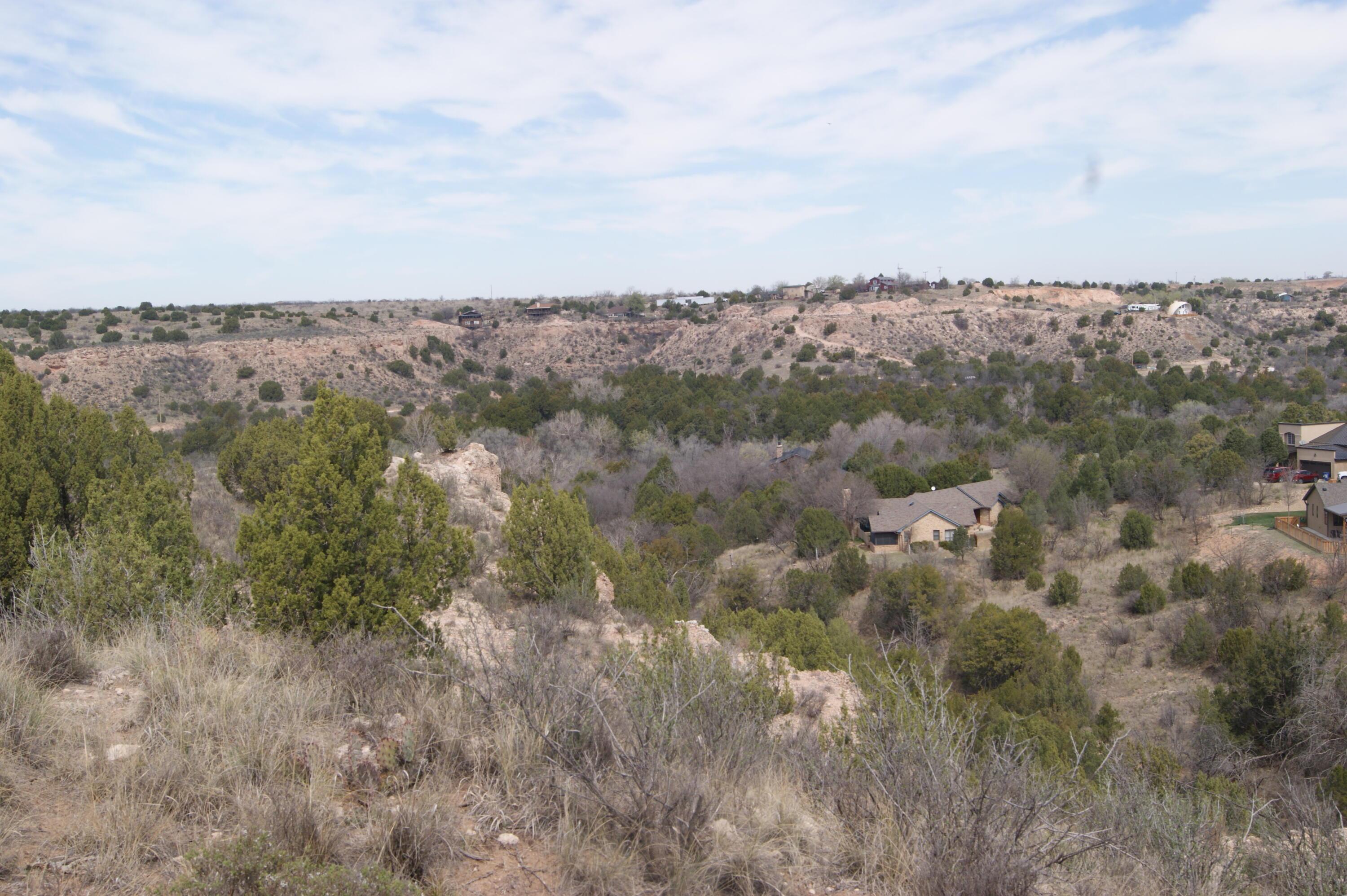 0 Michael Amarillo, TX 79118 - Photo 6 of 12 a view of a city with lush green forest