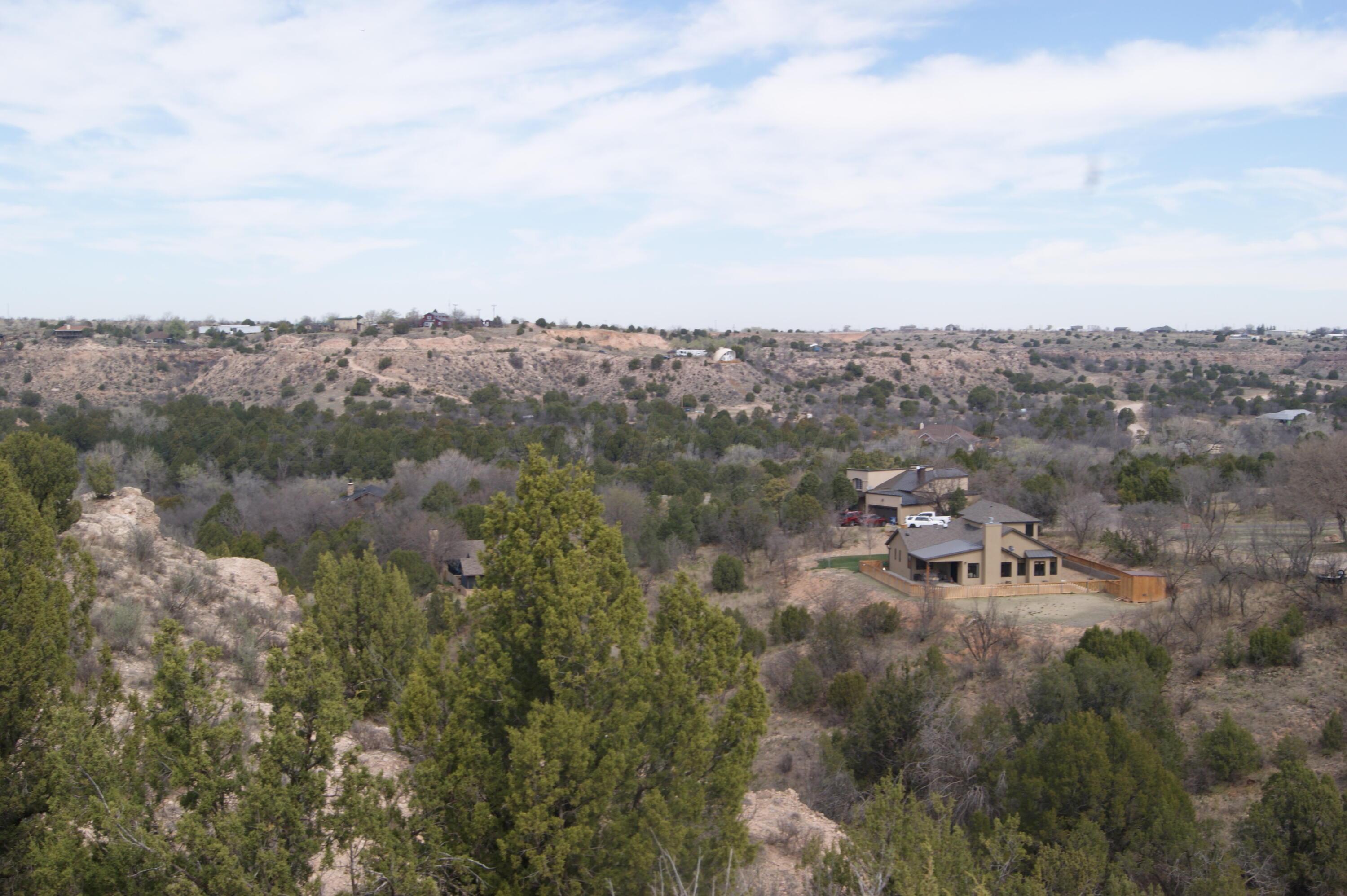 0 Michael Amarillo, TX 79118 - Photo 7 of 12 a view of a lake in middle of forest