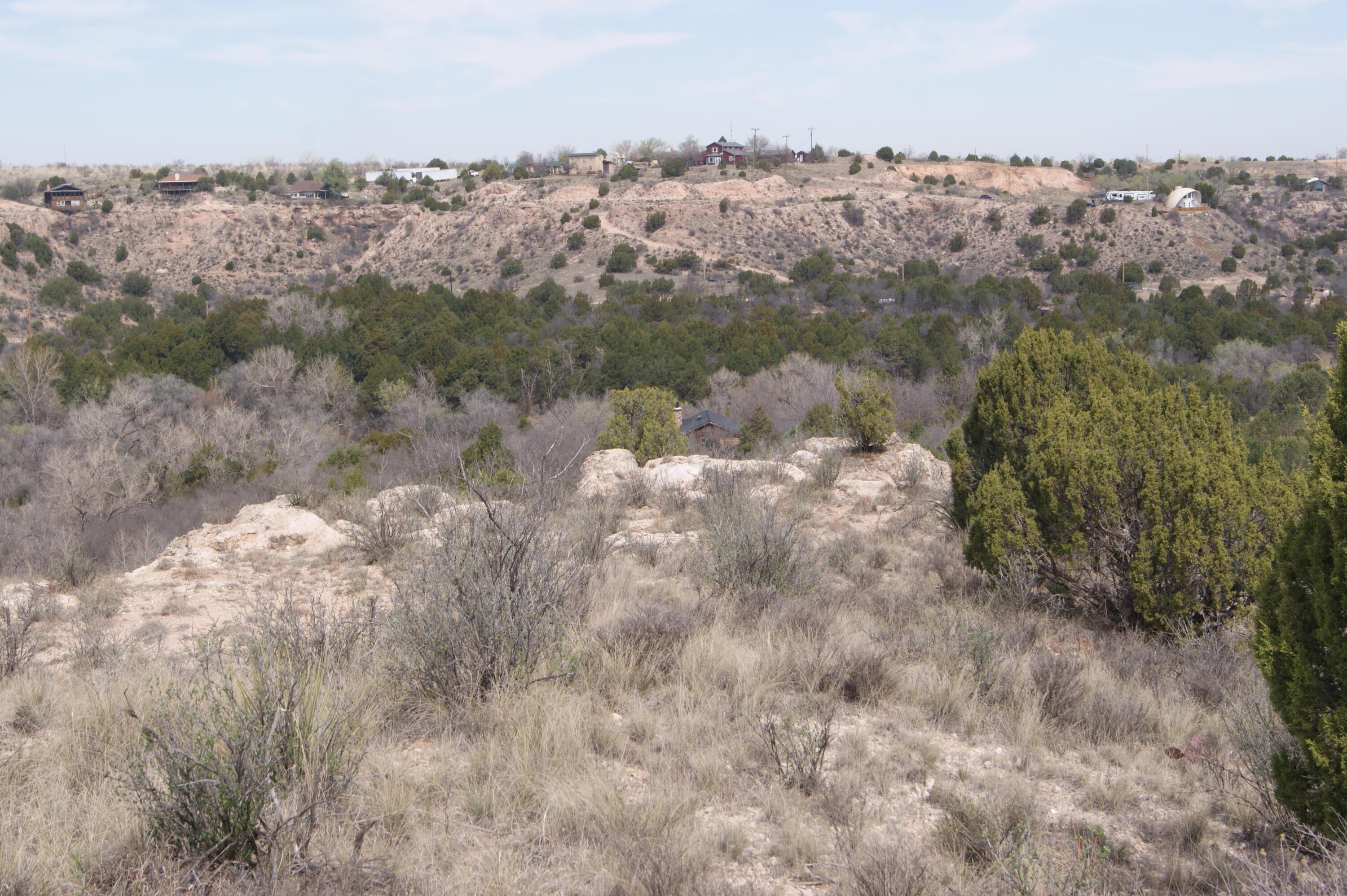 0 Michael Amarillo, TX 79118 - Photo 8 of 12 a view of a lot of trees in middle of outdoor space