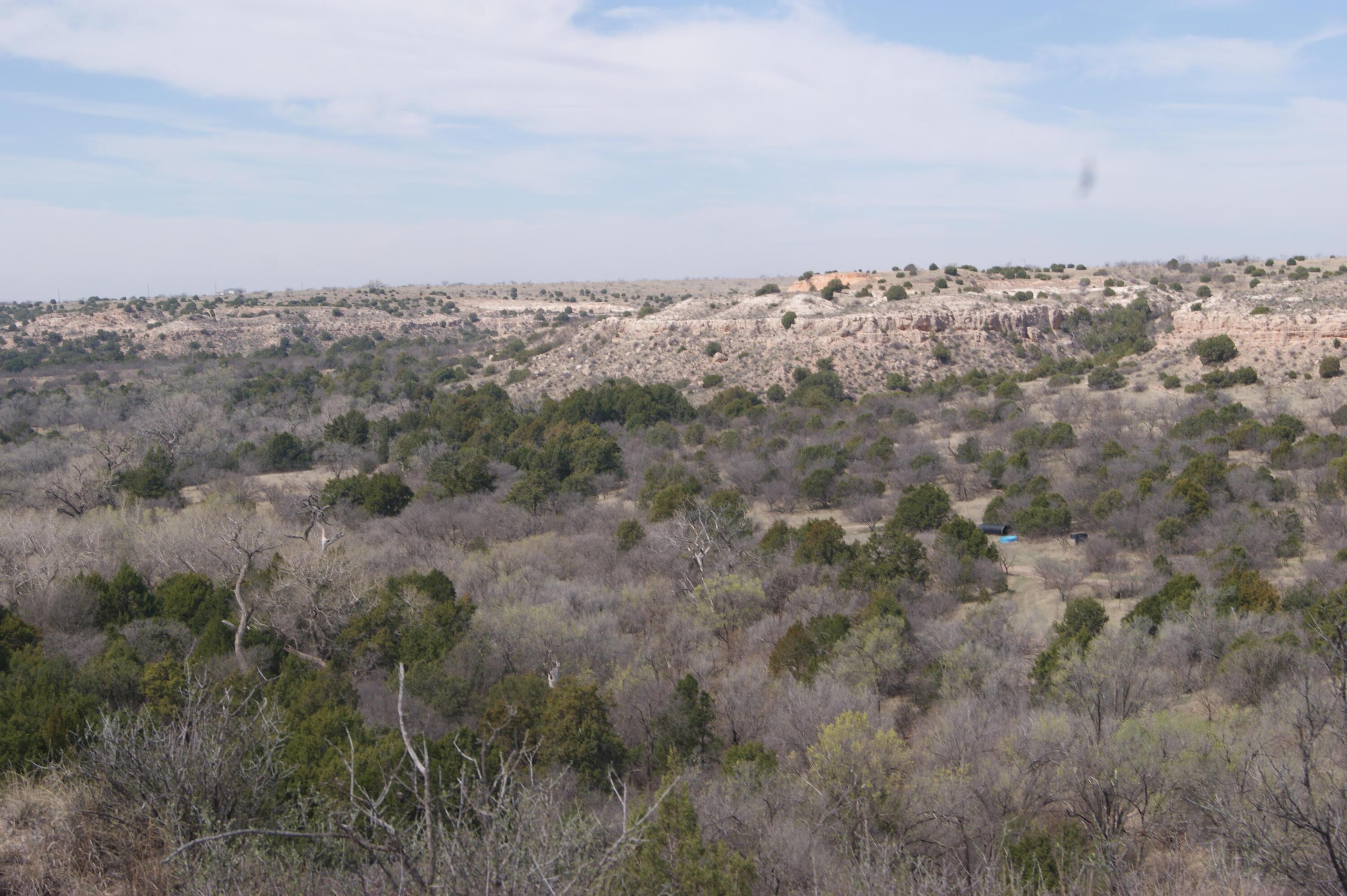 0 Michael Amarillo, TX 79118 - Photo 9 of 12 an aerial view of house