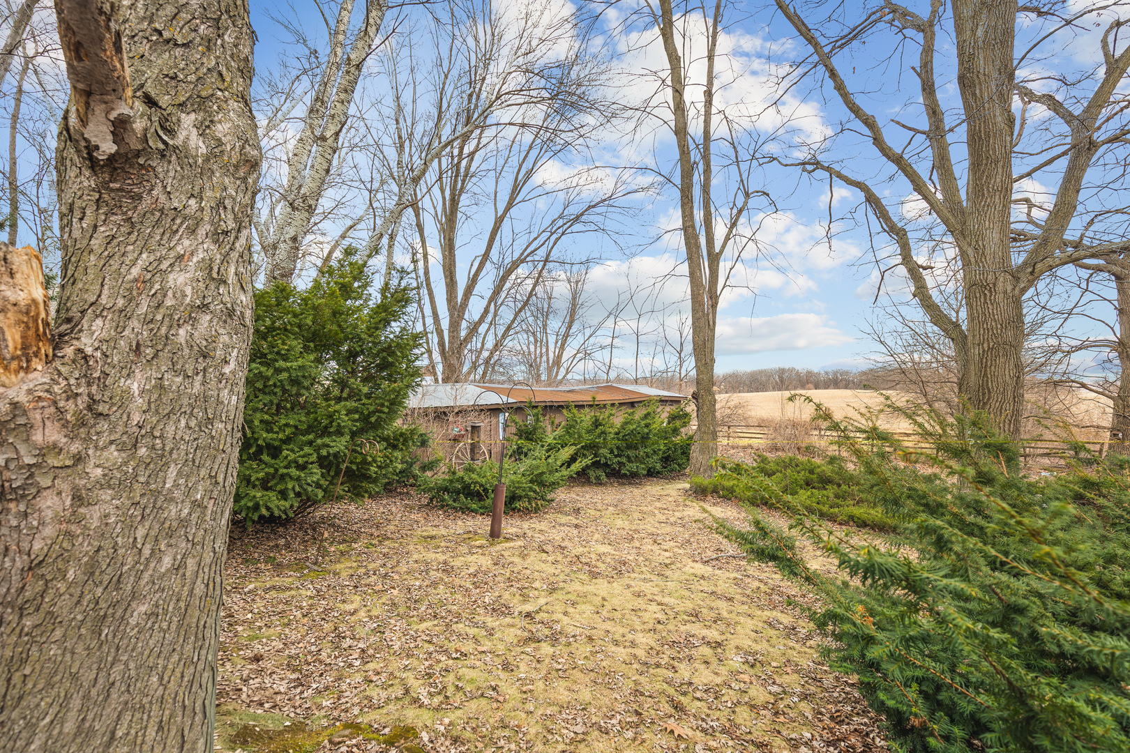 6867 North Eggert Road Rock City, IL 61070 - Photo 19 of 19