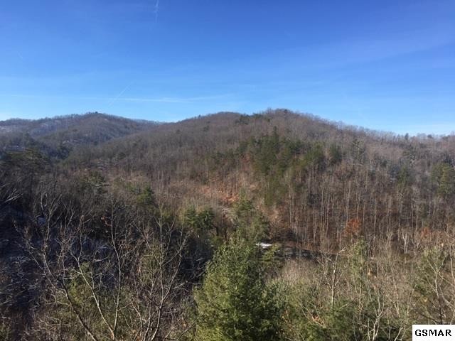 44 Smoky Ridge Way Sevierville, TN 37863 - Photo 4 of 29