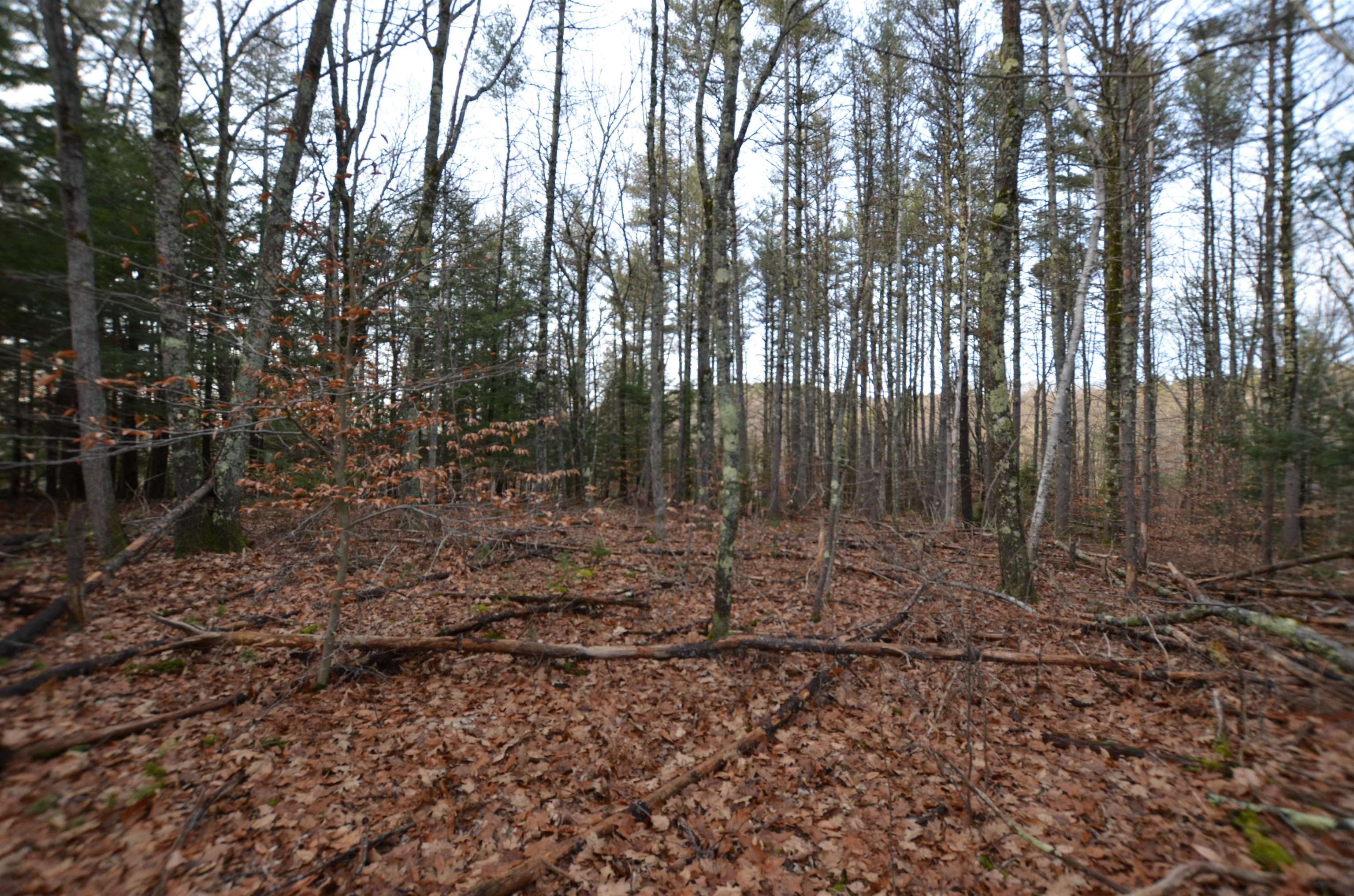 0 Crotched Mountain Road Greenfield, NH 03047 - Photo 3 of 9