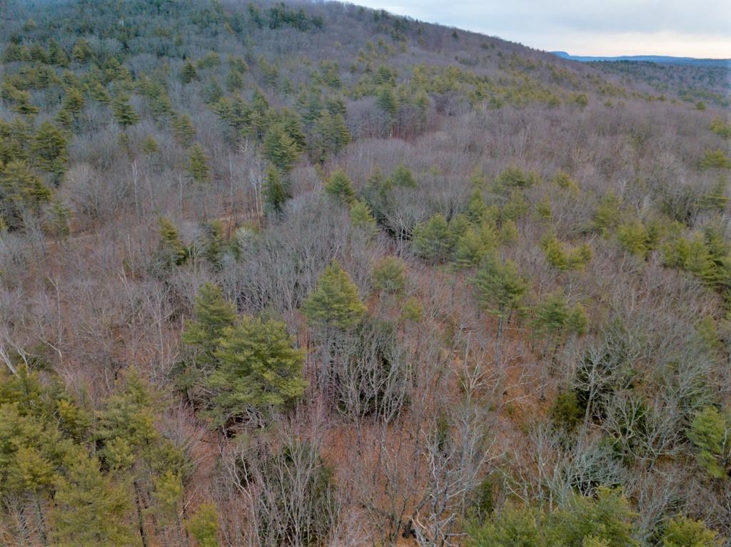 0 Crotched Mountain Road Greenfield, NH 03047 - Photo 4 of 9