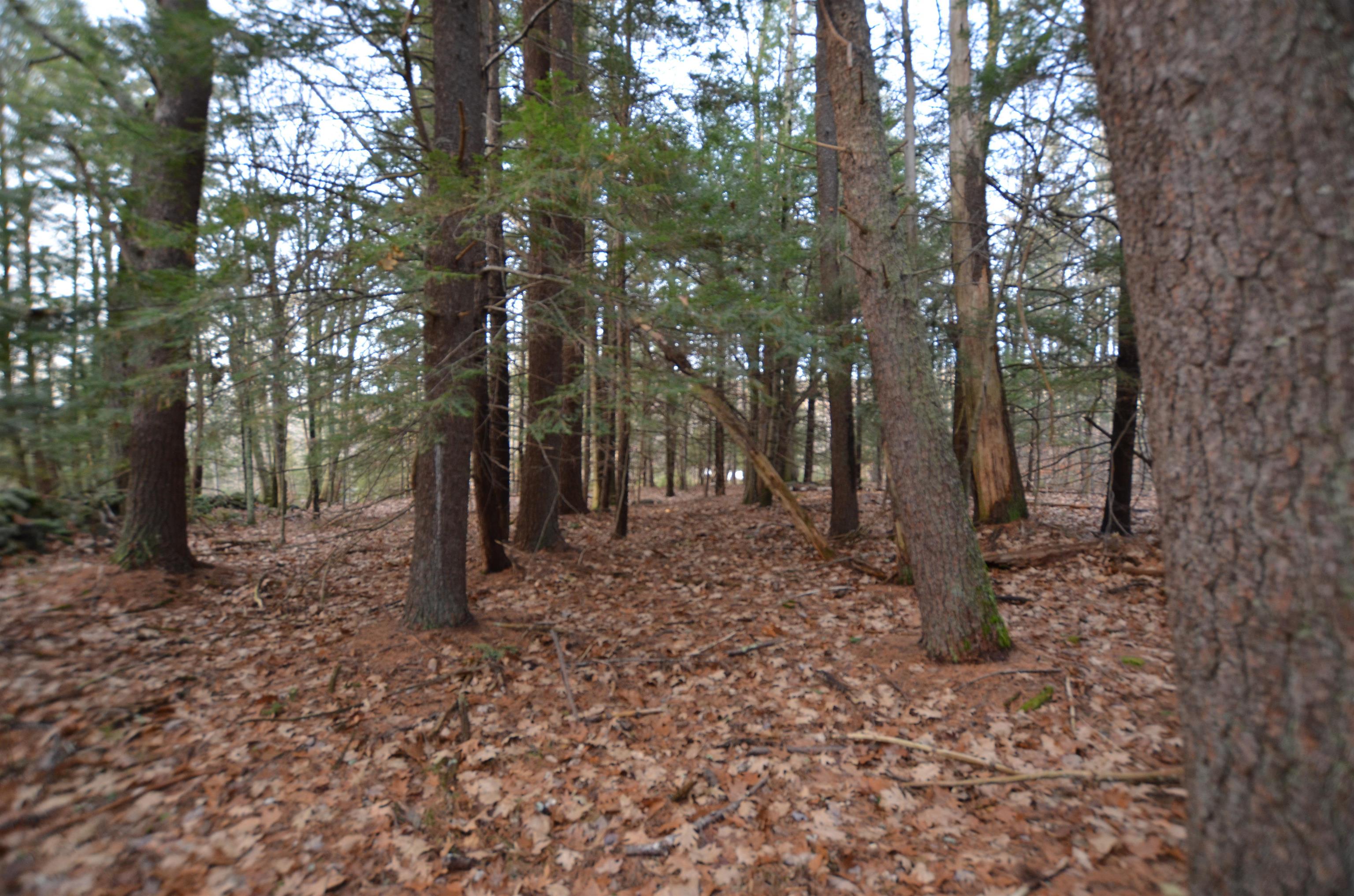 0 Crotched Mountain Road Greenfield, NH 03047 - Photo 6 of 9